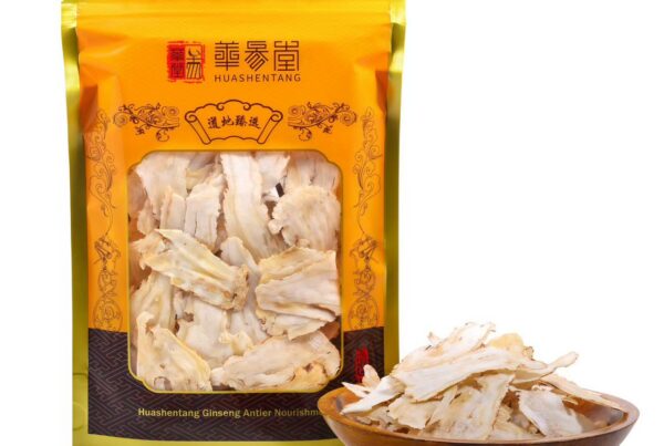 Akar Angelica Kering Herbal